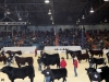 agribition2013-1